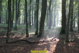 Cliquez pour agrandir l'image