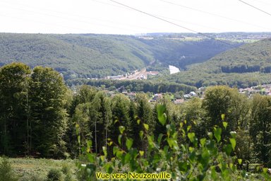Cliquez pour agrandir l'image